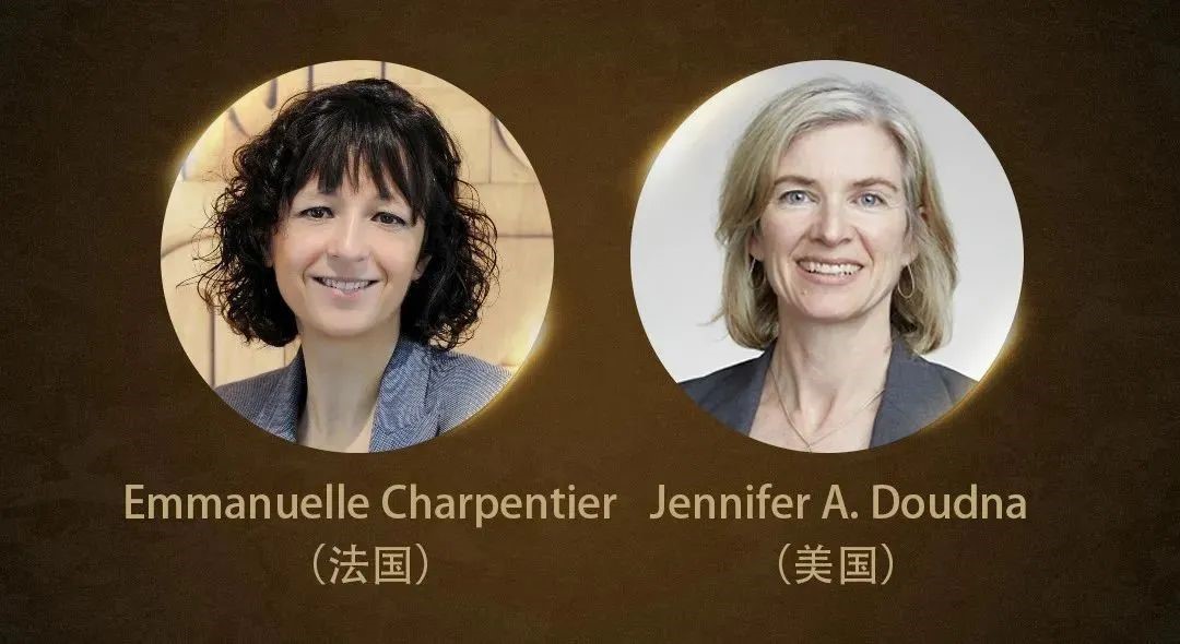 尊龙凯时人生就博官网登录生物科技集团恭贺2020诺贝尔化学奖得主Jennifer Doudna和Emmanuelle Charpentier